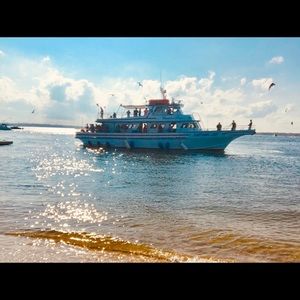 Meet your Posher, Gracey